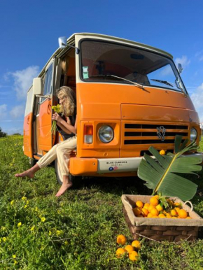 Rent a BlueClassics 's Campervan combi J9 en Algarve au Portugal